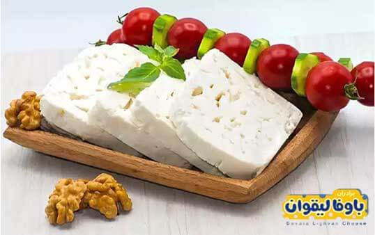 تفاوت پنیر گوسفندی با دیگر پنیرها