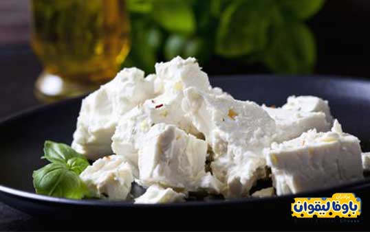 پنیر برای کاهش وزن