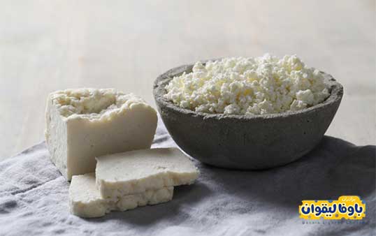 پنیر و تاثیر آن بر کاهش کلسترول خون