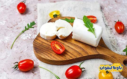 پنیر و فواید آن در پیشگیری از پوکی استخوان