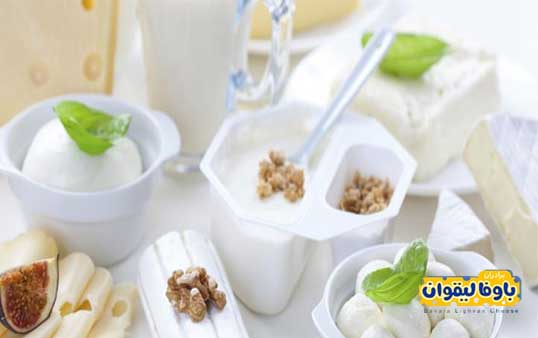 پنیر و فواید آن در پیشگیری از پوکی استخوان