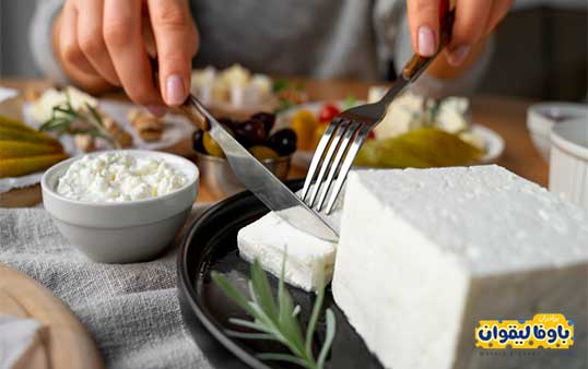 پنیر چرب بهتر است یا کم چرب؟